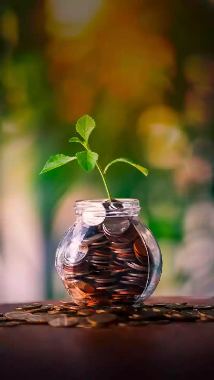 Portfolio Diversification: The Key to Safer Investments in India.