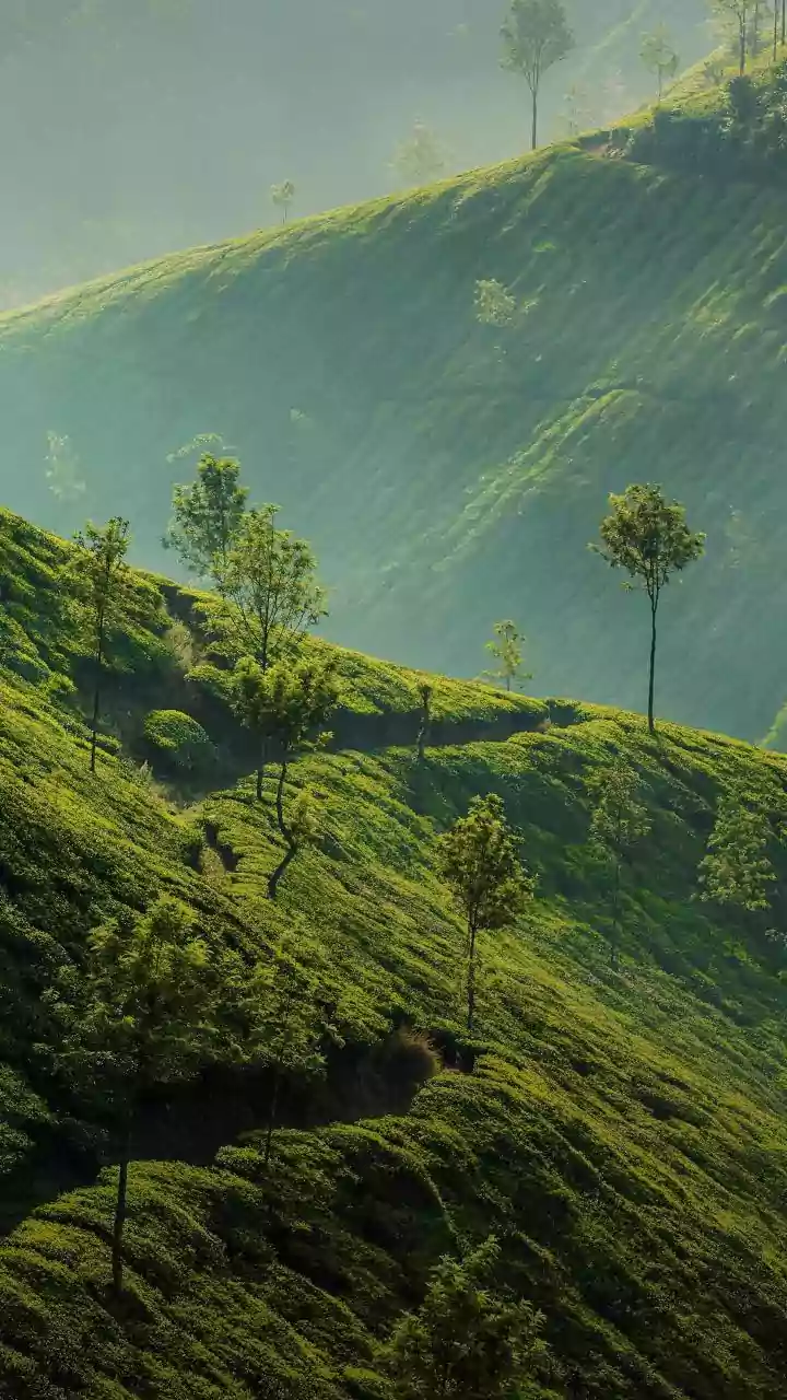 Where To Travel In India If You Love The Monsoon