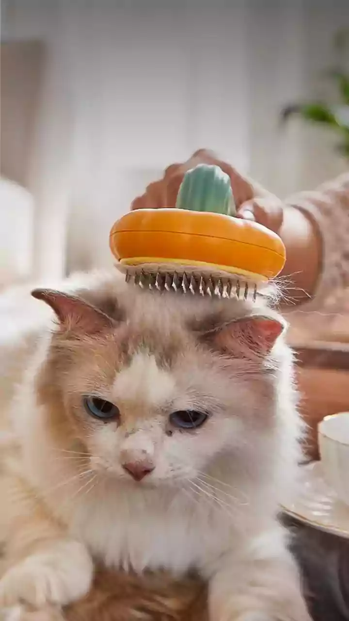 Grooming Kits And Toys Are Winning Pet Carts