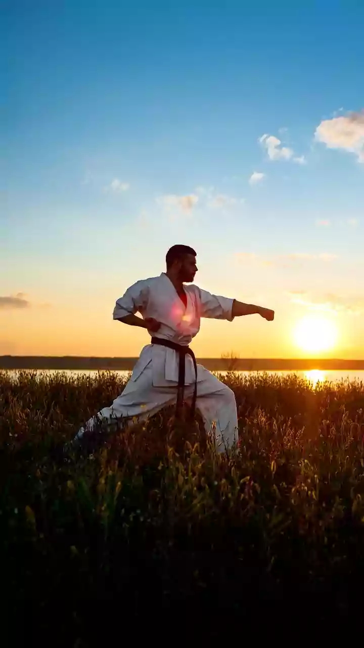 Preparação para o Mundial, Copa São Paulo de Kung-Fu reúne 930 atletas