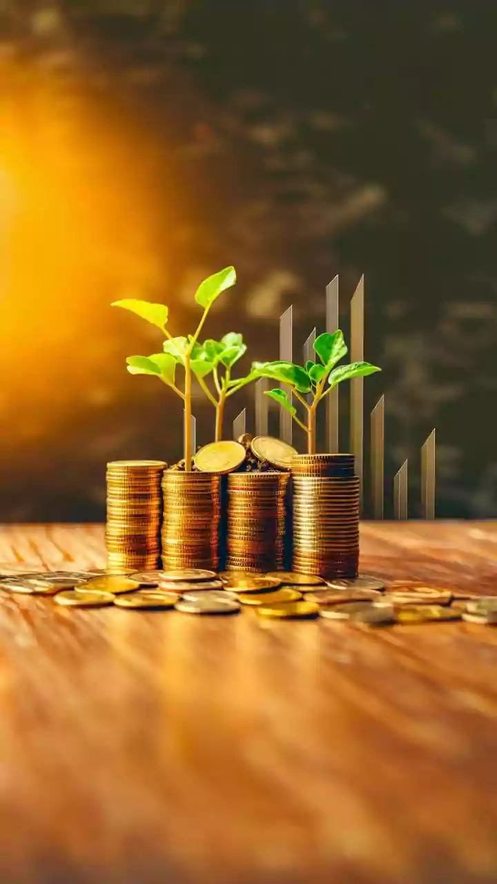 Reading Maturity Dates And Yield Information: Indian Sustainable Agriculture Bonds In Focus