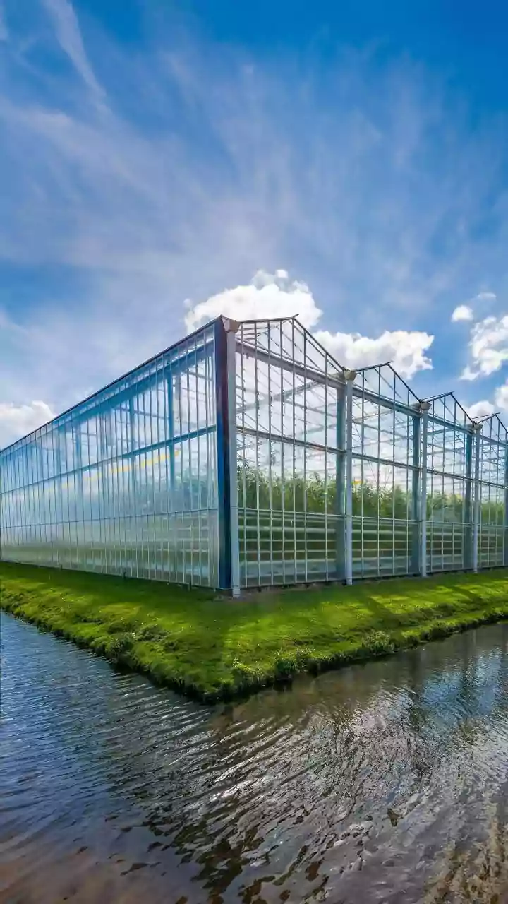 Modern Cold-Storage Tech Helps Kashmir Apple Farmers Safeguard Yields During Crushing