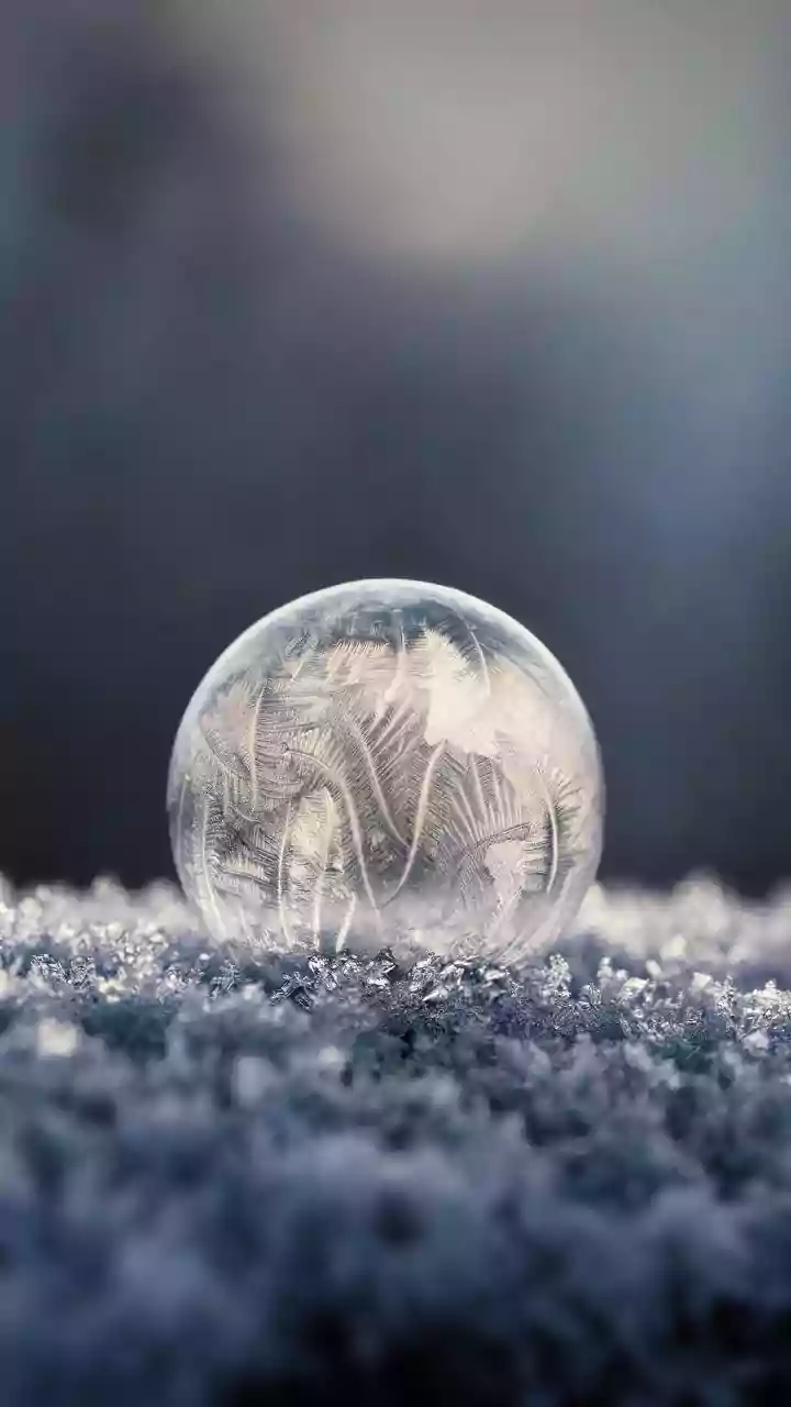 North India's freezing cold wave: Delhi hits 3°C, Gurgaon goes subzero