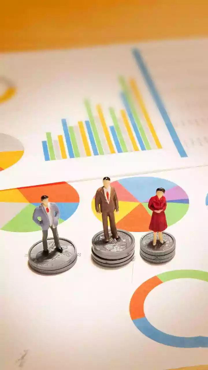 India's IPO boom to continue in 2026, says Goldman Sachs