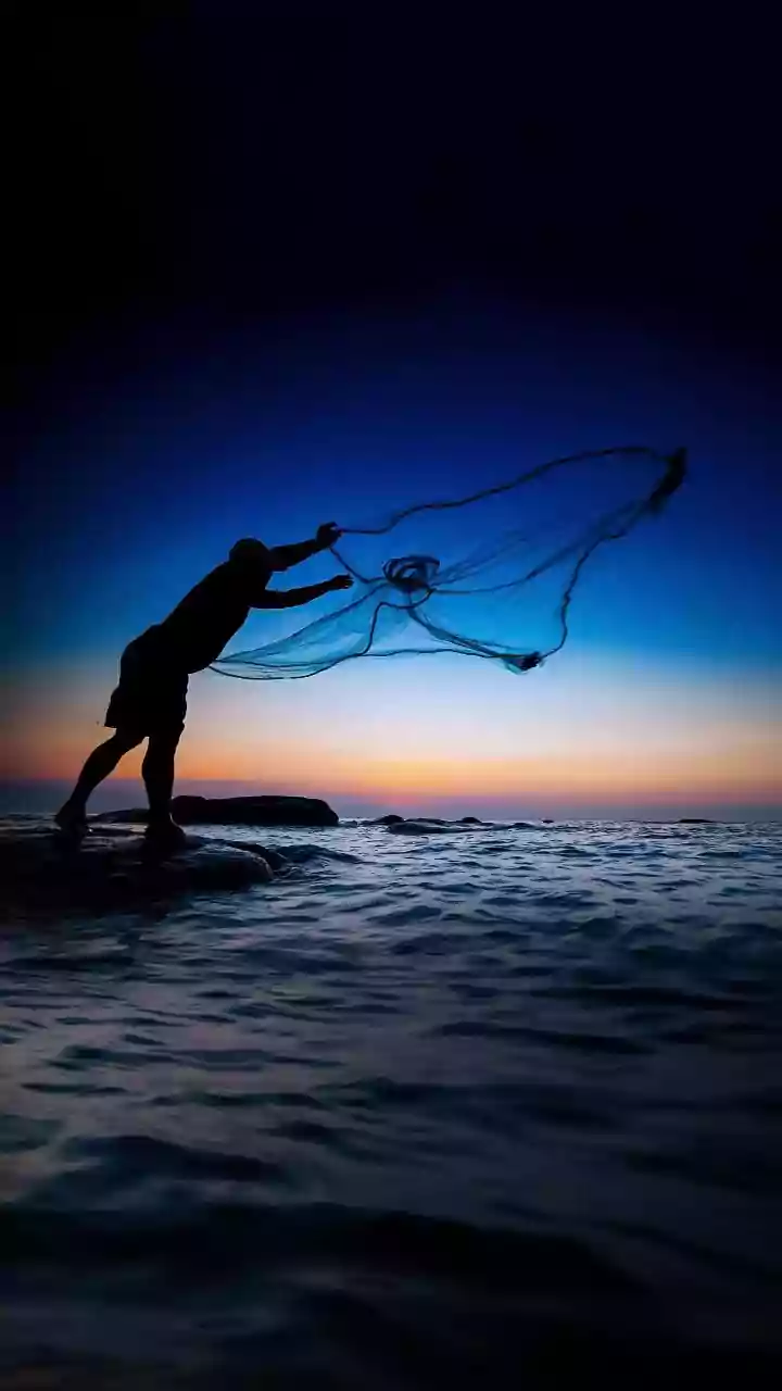 New Mobile Apps Revolutionize Indian Fishing: Jellyfish, Storm Alerts & Enhanced Catches