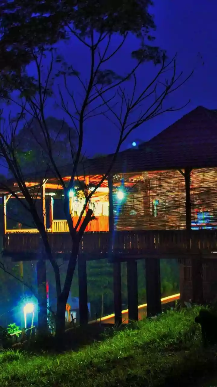 Kerala's Finest: 9 Homestays You Can Book Now