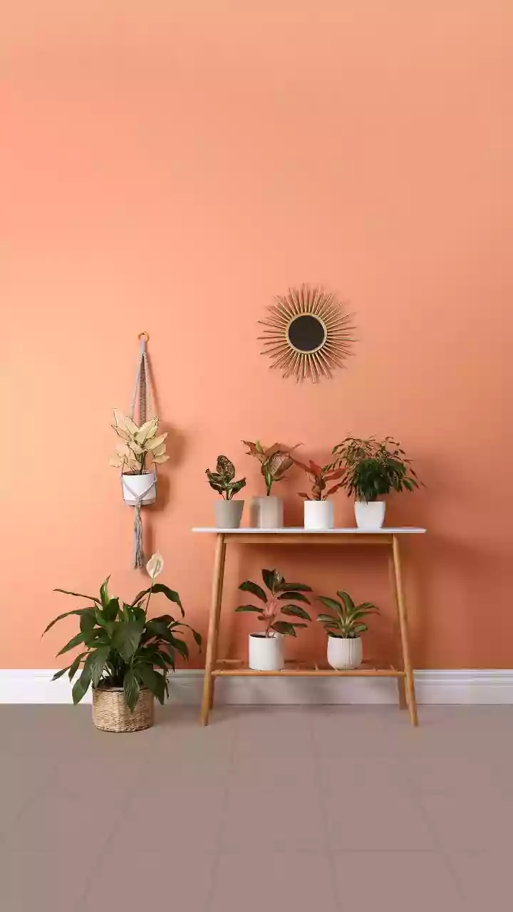Indian Homes Are Done With Pure Display Decor