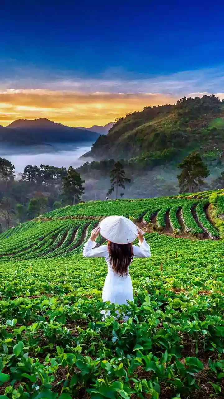 Why Setting Aside Money For Travel Emergencies Is A Smart Financial Habit