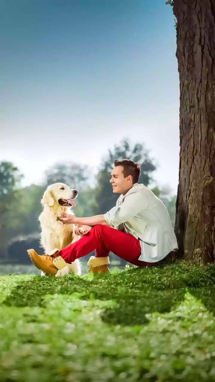 Can India's Premium Pet Economy improve food, healthcare and lifestyle spending for companion animals without emotion-led overspending?