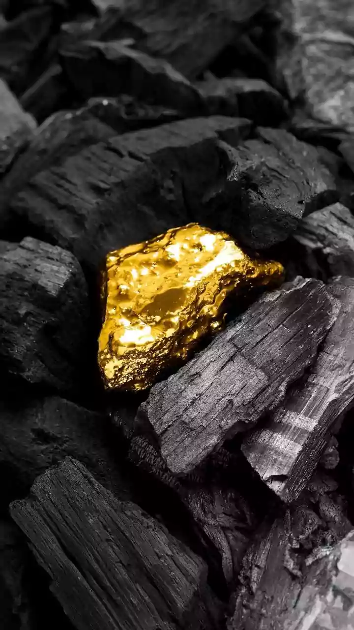 Tata MF's Precious-Metals View Avoids One-Asset Bets in 2026