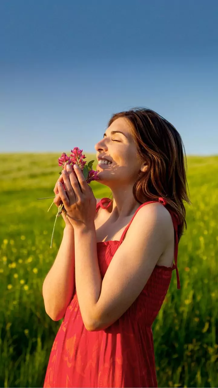 Related Stories banner