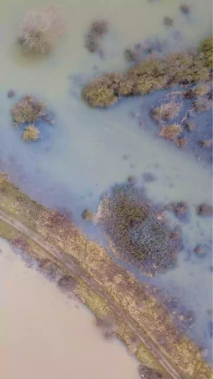 Ghaghara River Water Level Rises in Gonda; Flood Alert Issued