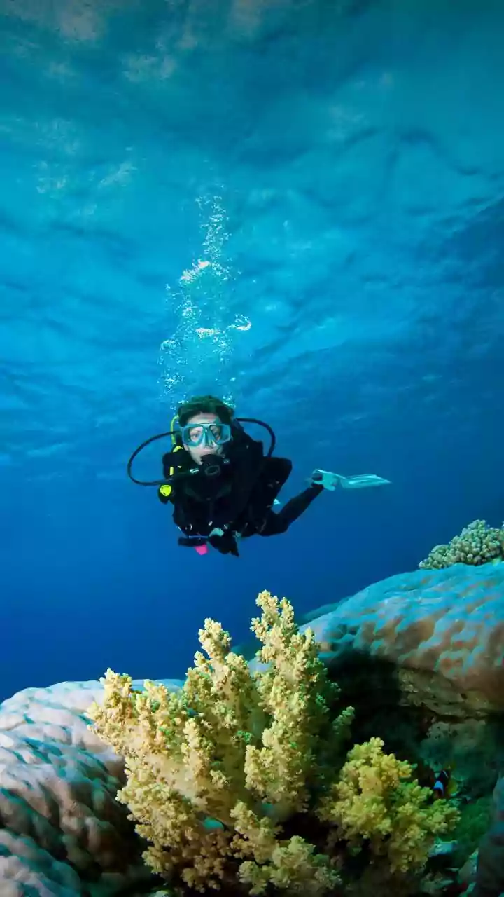 Lakshadweep Autumn Travel Guide: Scuba Diving Spots, Island Permits, And Sustainable Stay Options