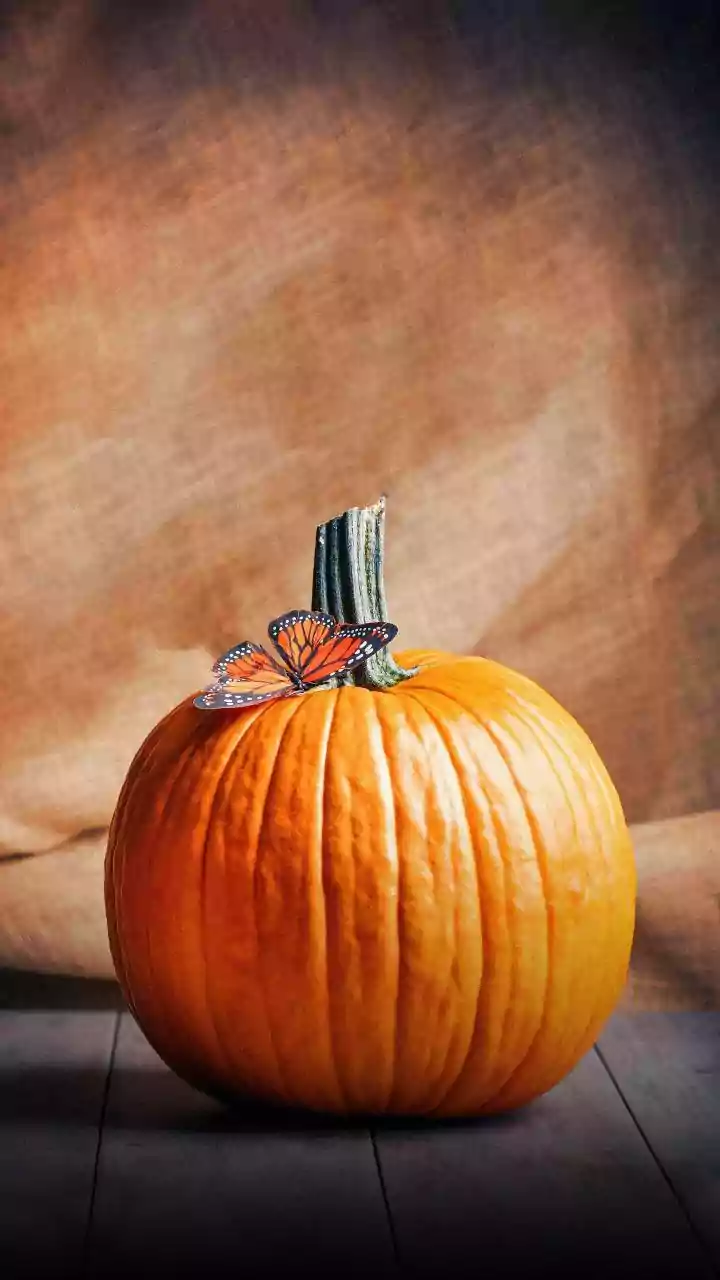 A Better Way To Read The Pumpkin Breakfasts Story Without Overstating Health Claims