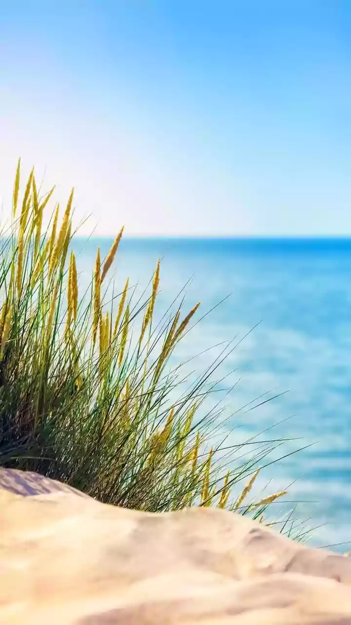 Indiana Dunes National Park: A Biodiverse Midwest Gem Near Chicago