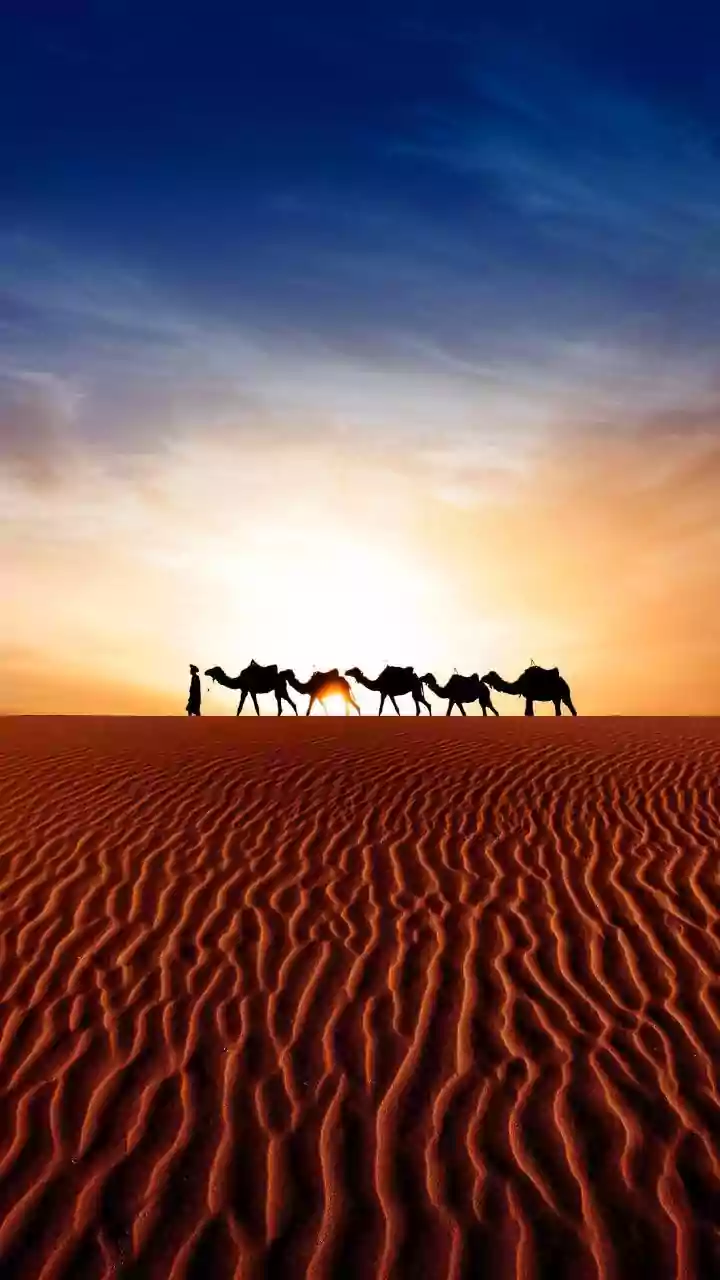Africa's most iconic desert landscapes: A list