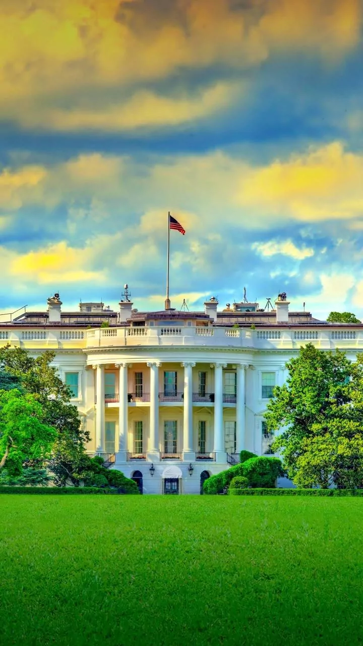 Trump considering quitting NATO, calls alliance a 'paper tiger'