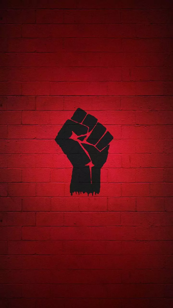 DMK's youth wing will fight against 'Delhi': Udhayanidhi Stalin