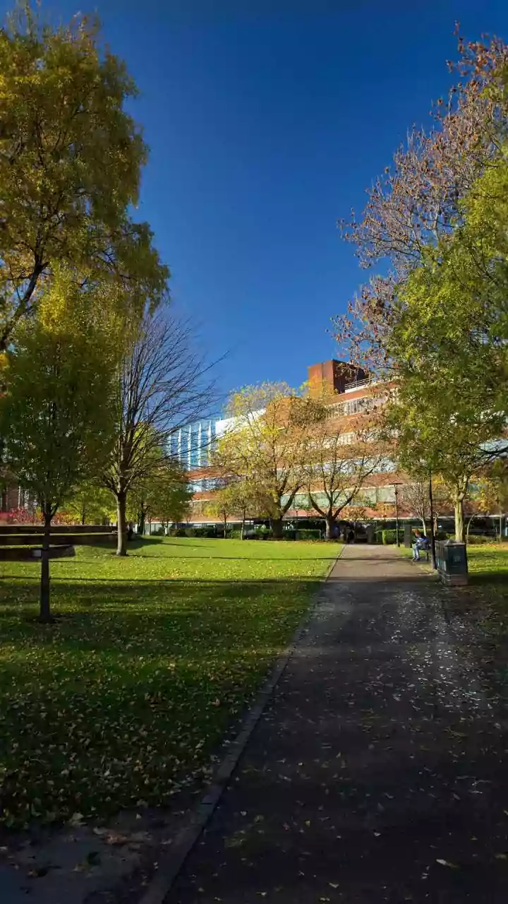 Growing Student Demand Amid College Closures: A Reader Guide To Fewer Higher-Demand Courses