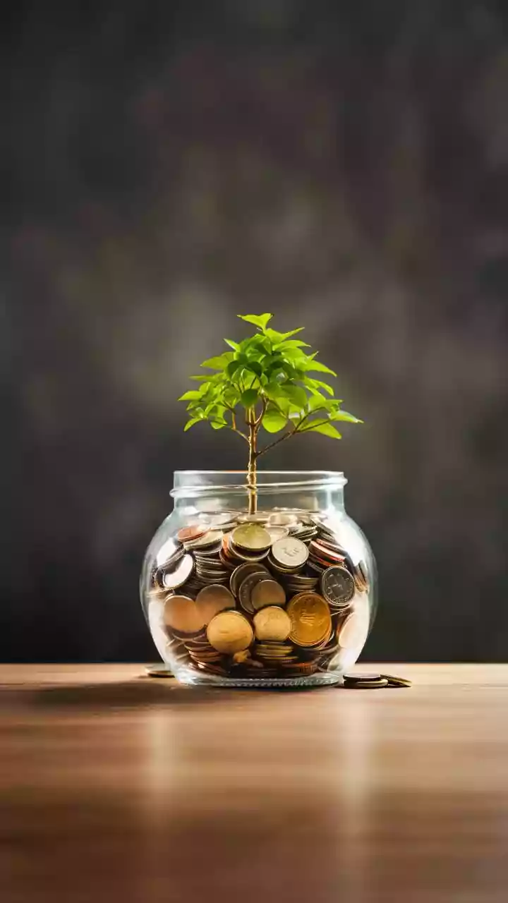 Capri Global Capital Q3 profit doubles to Rs 255 cr