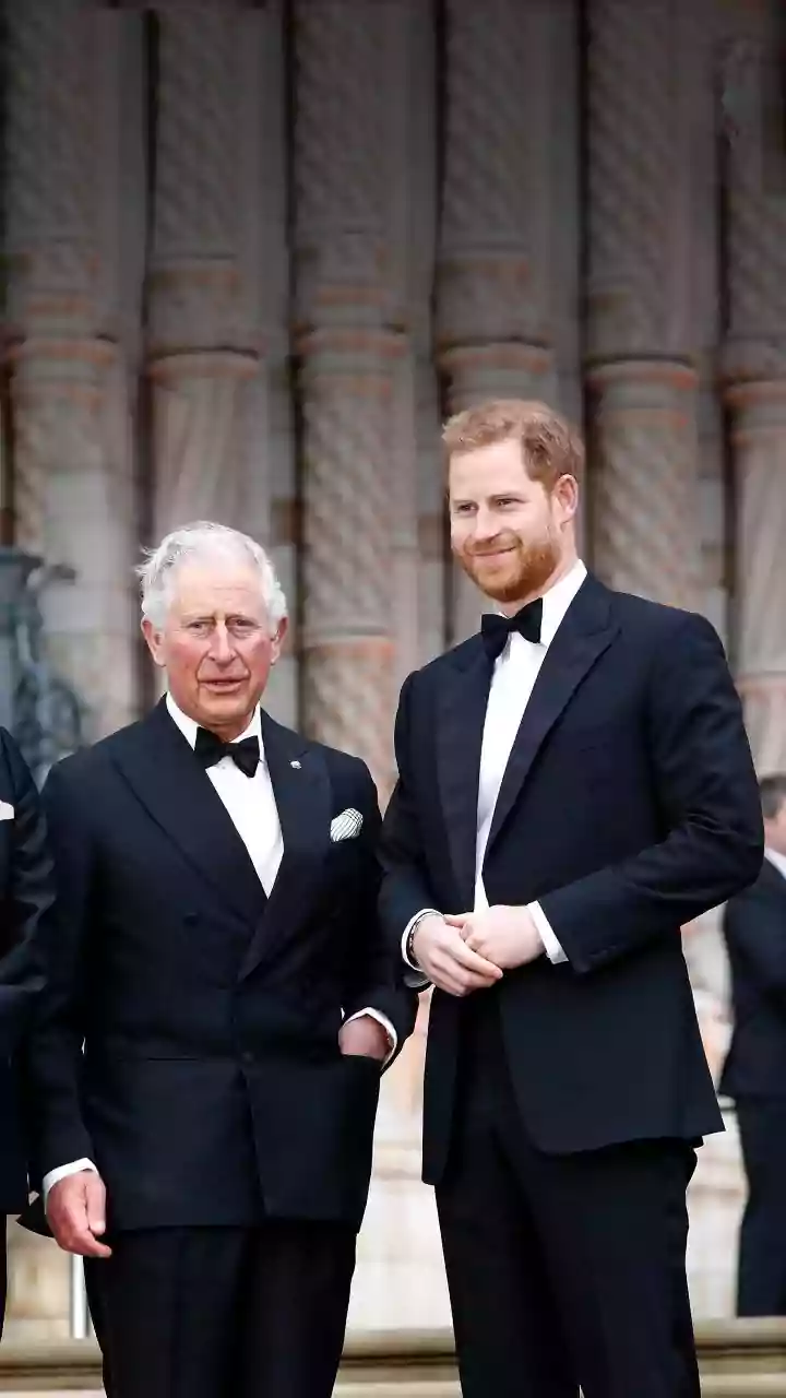 Camilla teria se oposto a encontro de Charles com Harry, gerando desentendimento com o rei