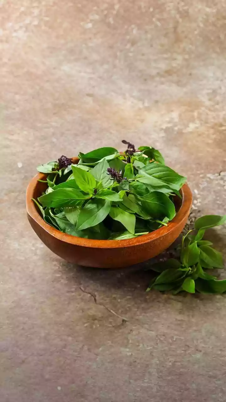 Why basil deserves a spot in every kitchen and garden