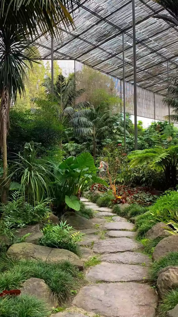 Nature's Wonders: Unveiling 8 Astonishing and Peculiar Plants You Never Knew Existed