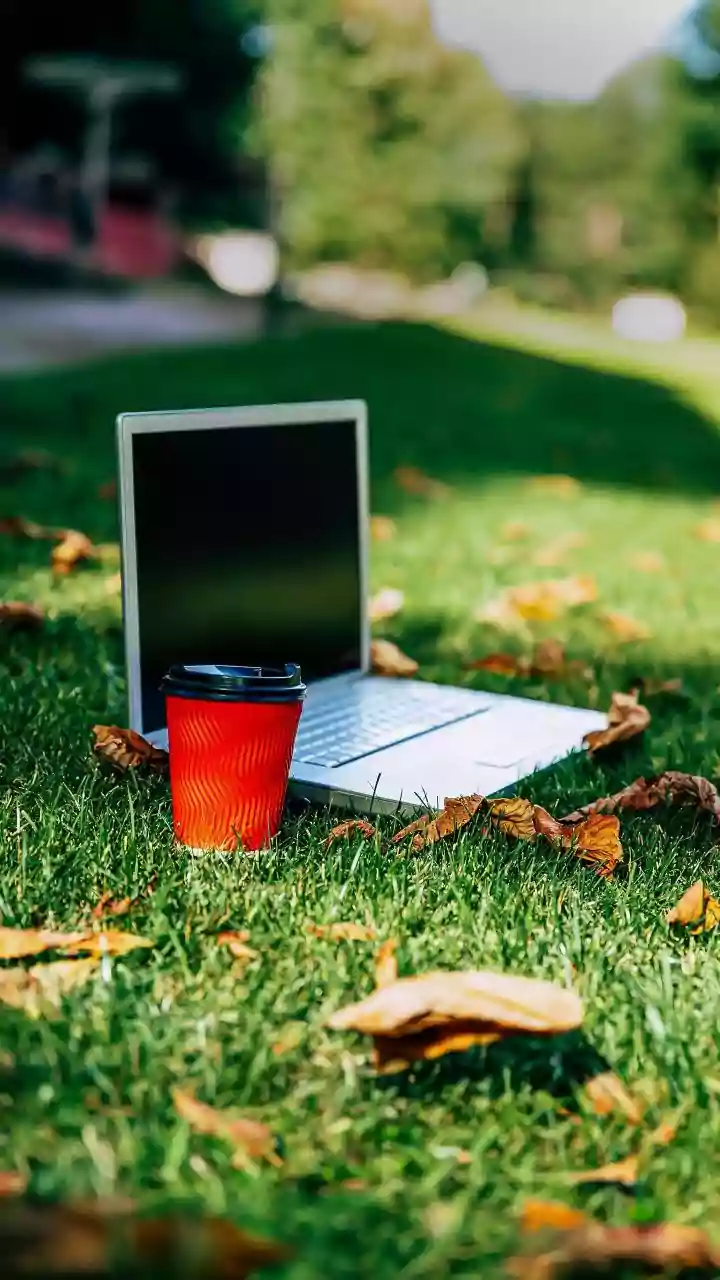 Why Jibhi Co-Living Stays Are Popular Among Young Remote Workers This Autumn
