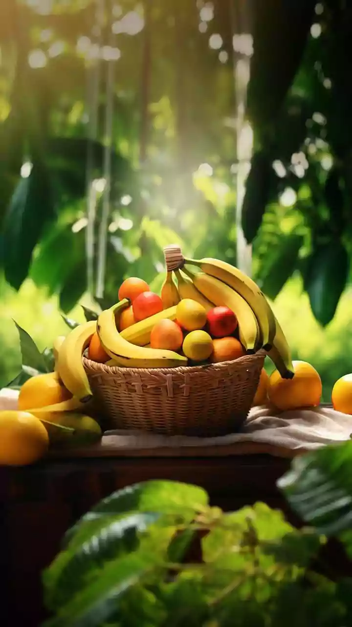 Indi's Lemon Legacy Offers A Different Way To Explore Karnataka