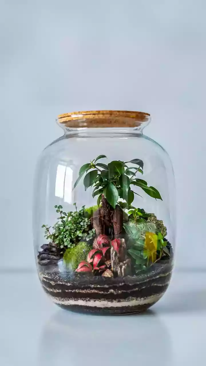 The Attraction Where Every Miniature Scene Hides a New Story
