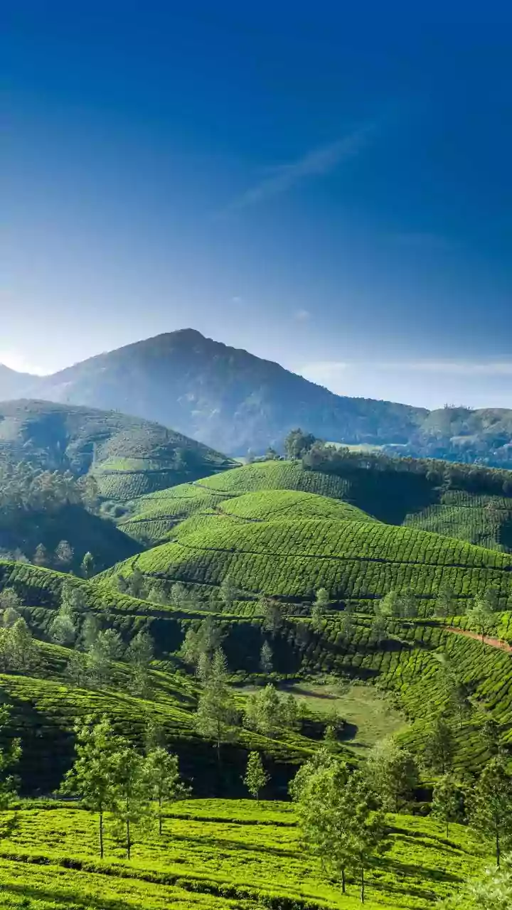Munnar Brings Together Waterfalls, Forests and Plantation Landscapes