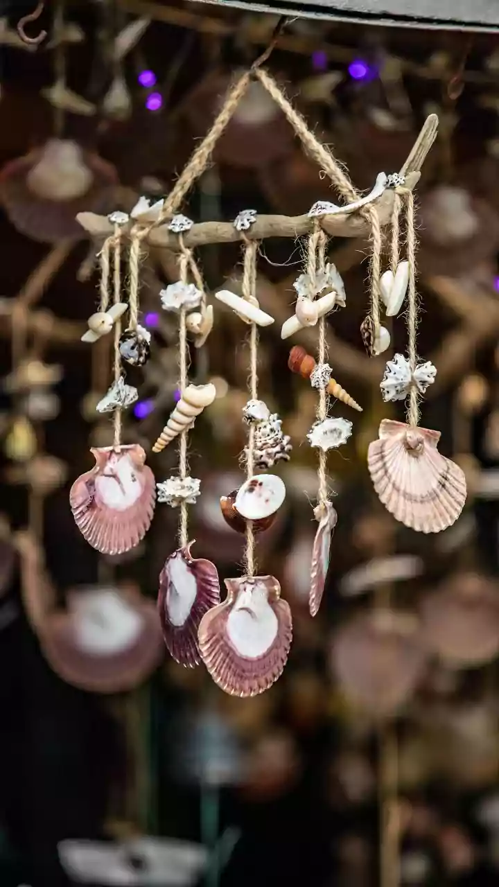 DIY: How to create driftwood hangings