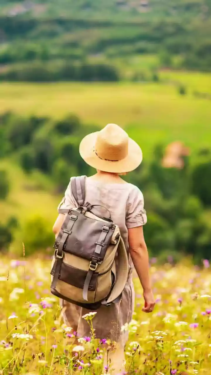 A simple meadow walk can do wonders for your health