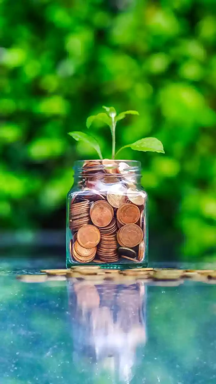 Rs 7 dividend stock: Record date tomorrow; payment by January 13