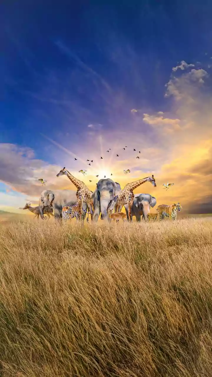 Survival Tactics: 5 Animals That Play Dead