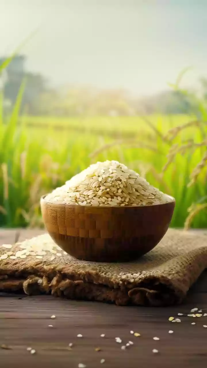 Centre agreed to procure 8 lakh tonnes of rice from Odisha: CM