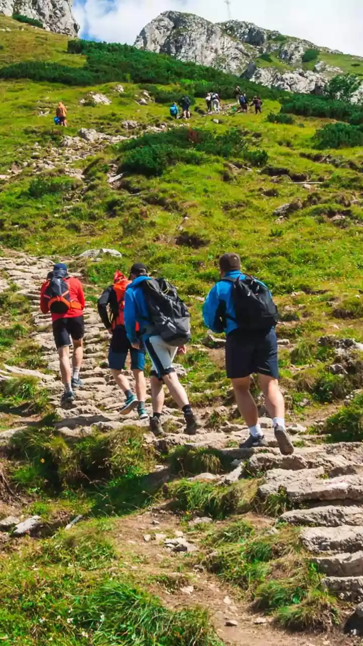 Adventure Operators In Western Ghats Use GPS Tracking To Prevent Monsoon Trekking Disasters