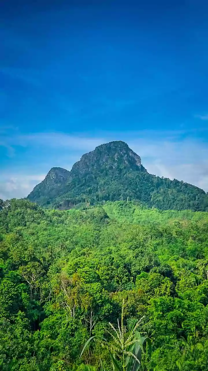 How Road-Trippers Capture Agumbe Monsoon Rainforests On Scenic Drives From Bangalore