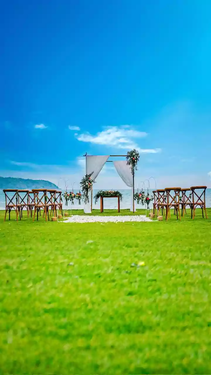 Disha Sharma's Grand Wedding: A Fusion of Cultures and Star Power