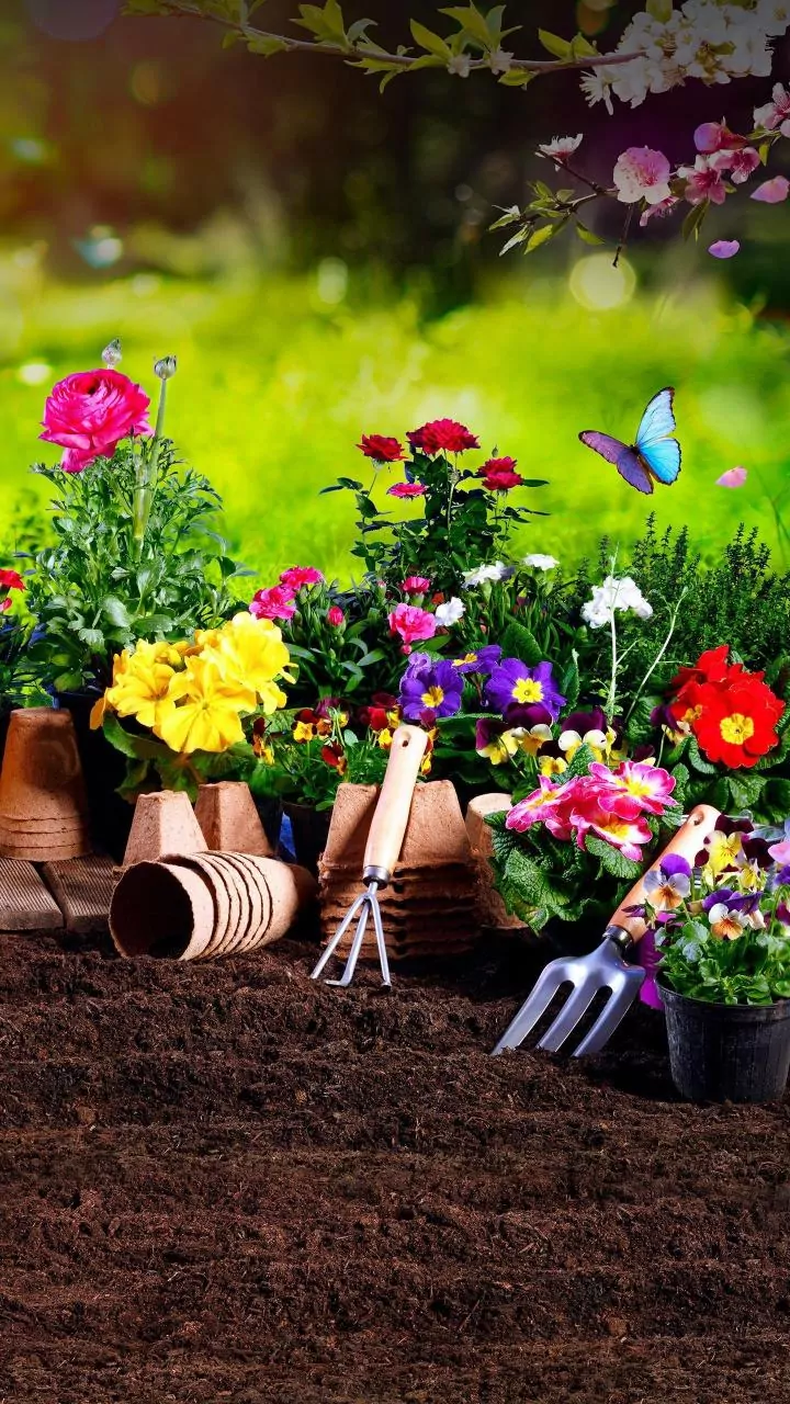 For New Houseplant Quarantine, Review Soil And Pot Checks And A Separate Start