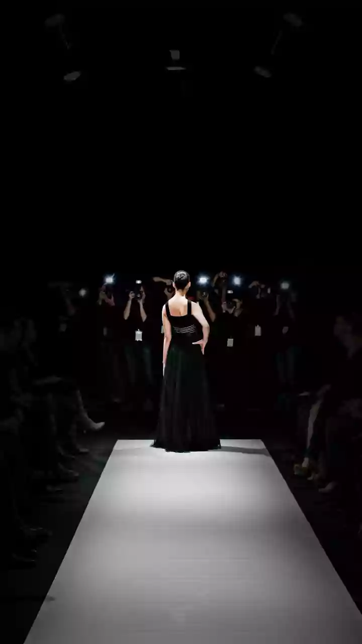 Decoding Fashion's Evolution: A Style Journey