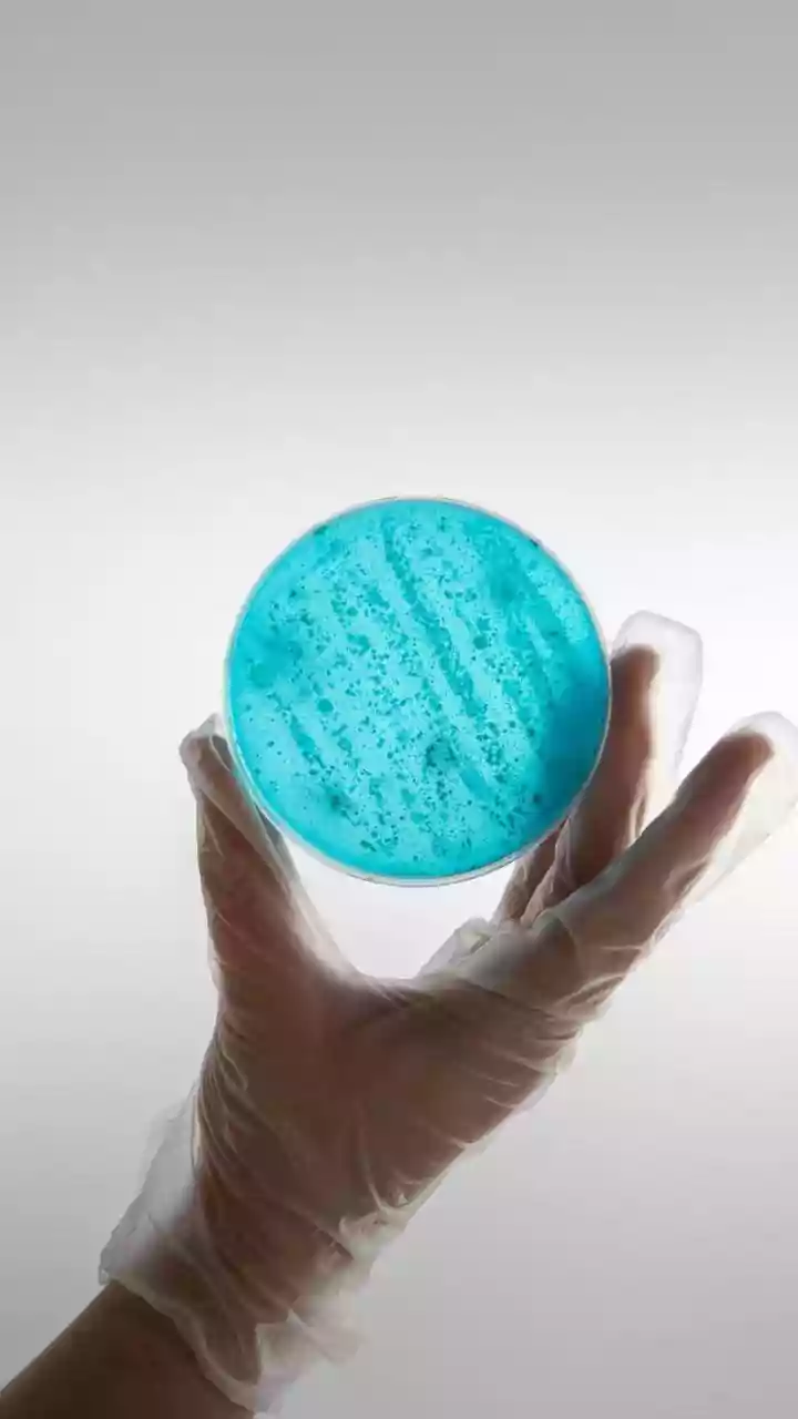 Gonorrhea Treatment Advances: New Antibiotics Approved