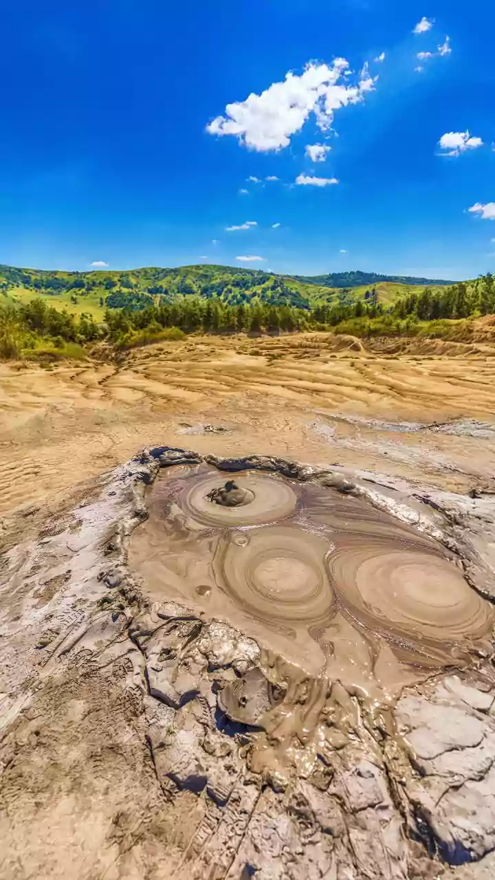 AI Cracks the Case: Unlocking Dinosaur Identity from Ancient Footprints