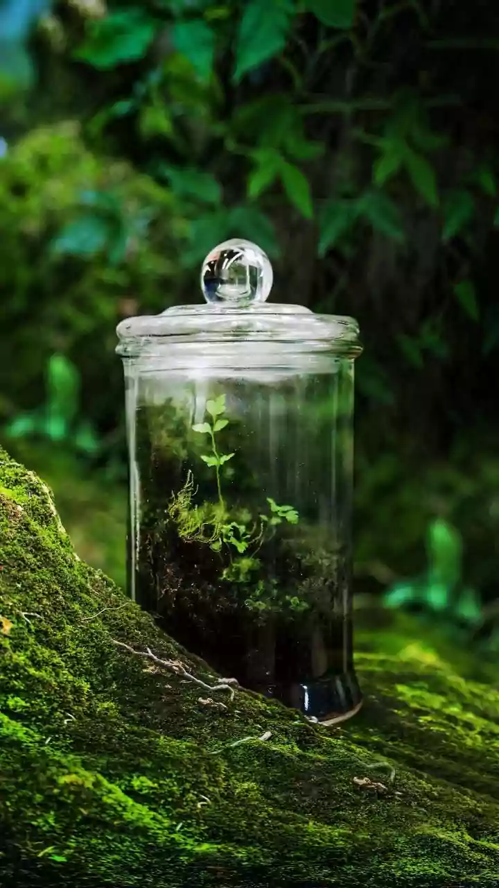 How Waterlogging Damages Urban Garden Soil Microbes And Ways To Revive Bacterial Health