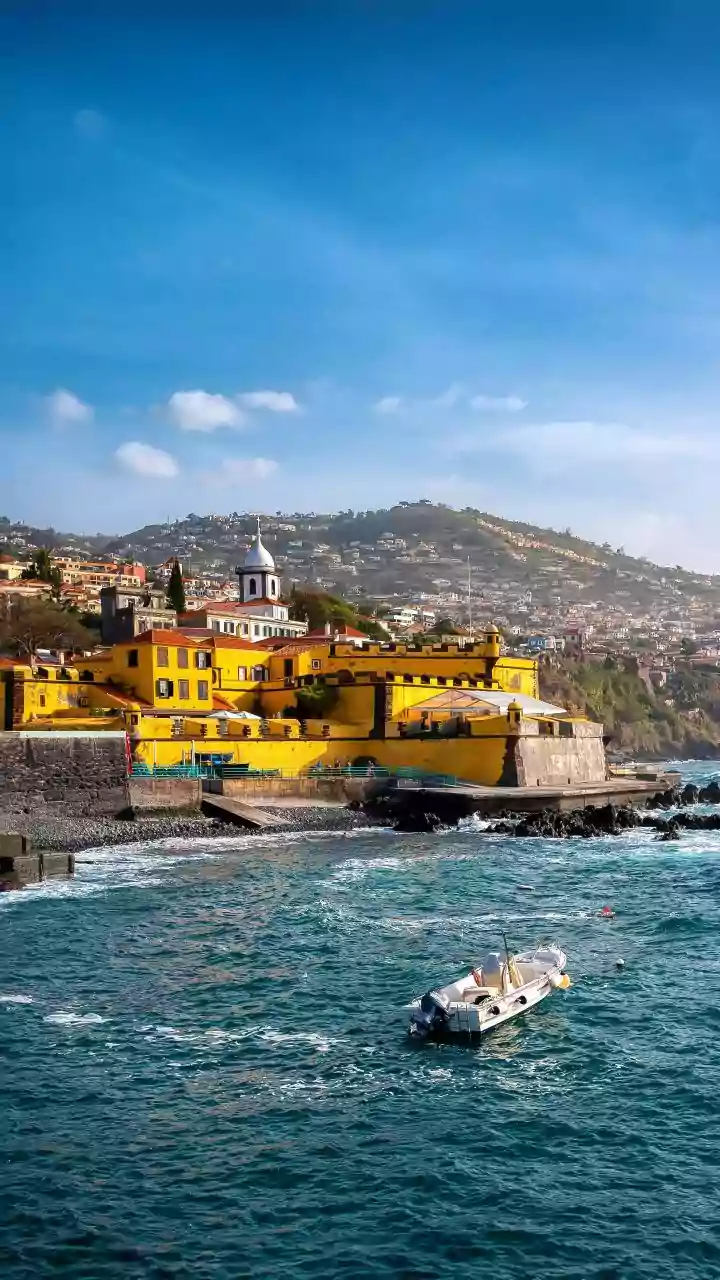 Madeira’s rise to top trending destination for 2026 as per reports; here’s why you should visit this place