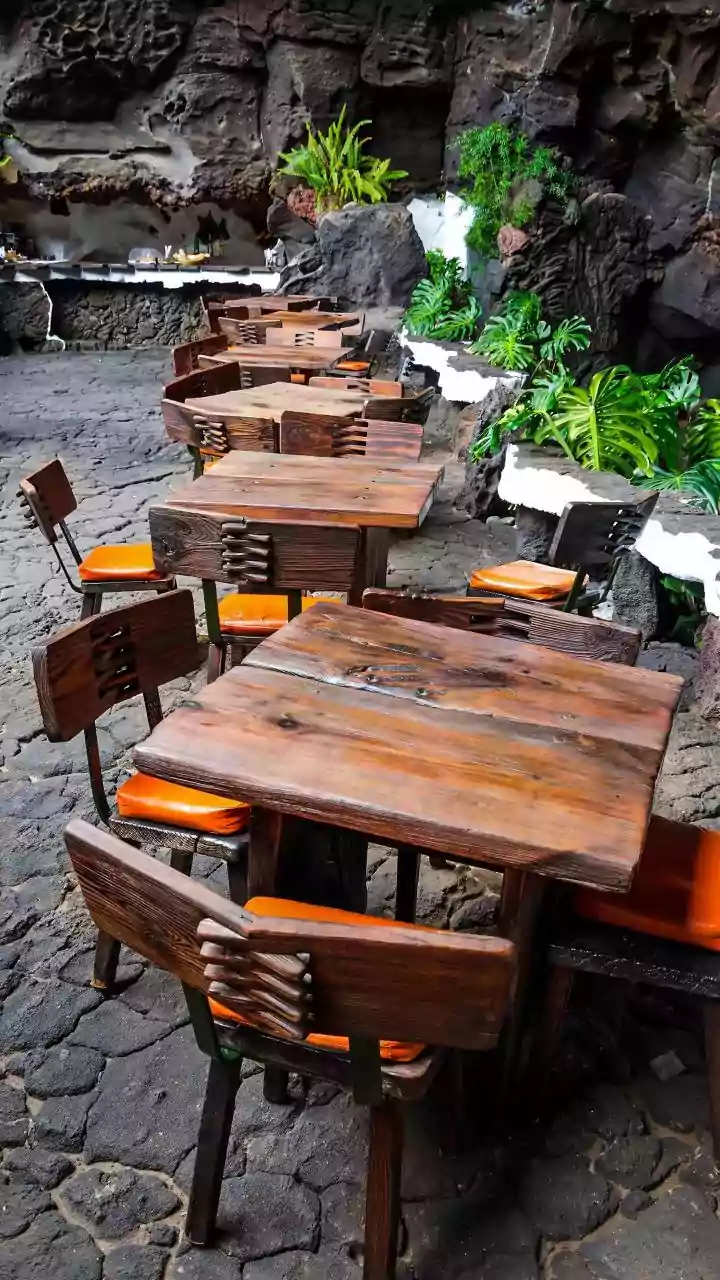 How to Check Whether Your Pet Can Join You in Outdoor Dining Areas