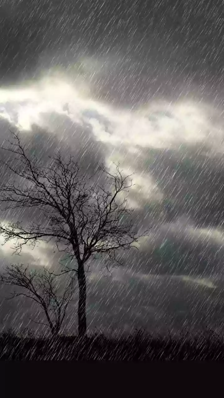 Heavy Rains and Red Alerts Issued Across Multiple Indian States
