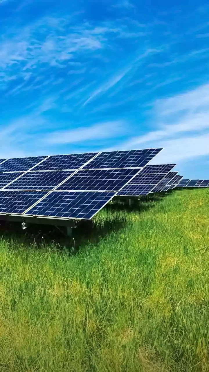 Solar Refrigeration Innovation Solves Post-Harvest Challenges For Rose Farmers