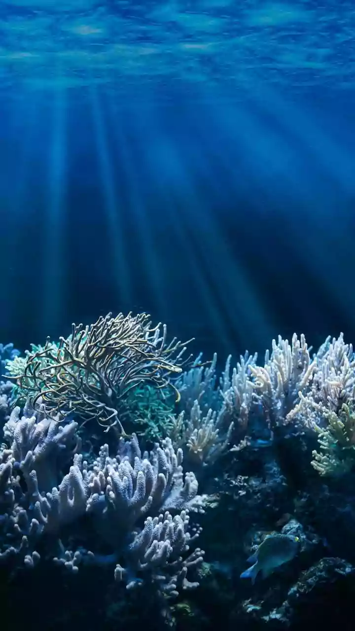 Ocean's Role: Unraveling Climate Secrets