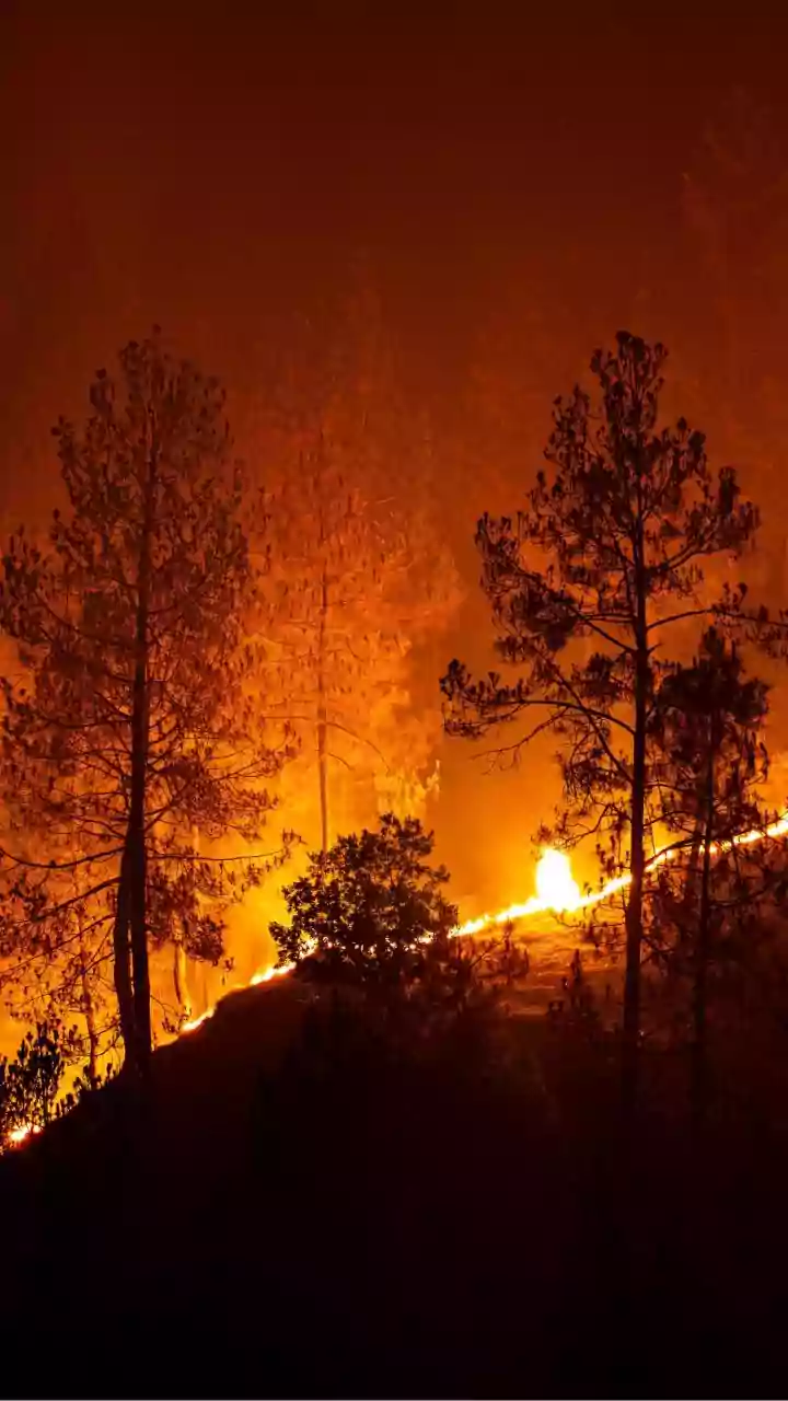 Hutchinson Fire: Reno County Fire North Of Hutchinson Prompts Evacuations, Firefighters Responding